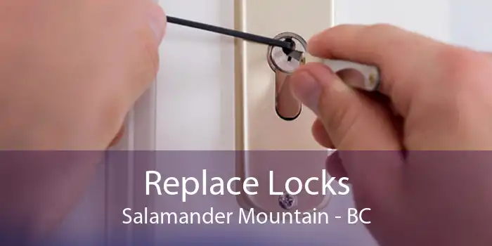 Replace Locks Salamander Mountain - BC