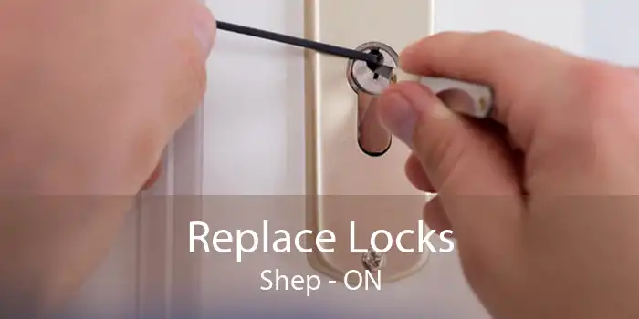 Replace Locks Shep - ON