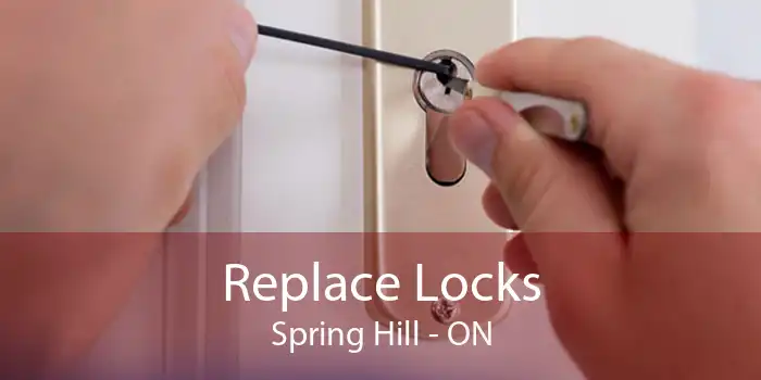 Replace Locks Spring Hill - ON