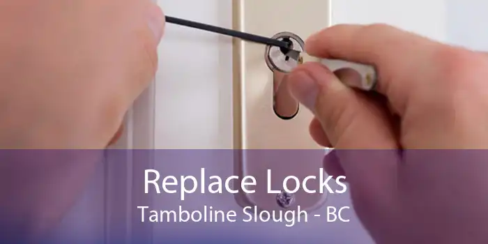 Replace Locks Tamboline Slough - BC