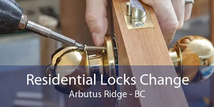 Residential Locks Change Arbutus Ridge - BC