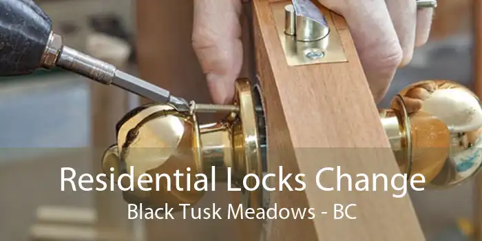 Residential Locks Change Black Tusk Meadows - BC